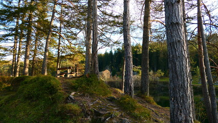 Fototapeta premium Rundwanderweg um den Hubertussee