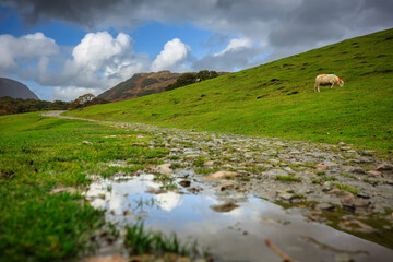 Beautiful landscapes of the Lake District in England, UK