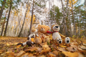 kids toys in autun park