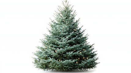 Fototapeta premium Christmas Tree with Lights.