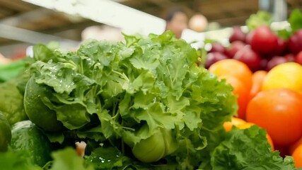 Close-up shot of fresh lettuce, tomatoes, and other produce in a grocery store.