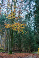 HDR Aufnahmen 5fach mit fast 20 Blendenstufen