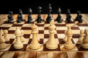 Wooden chess pieces wood