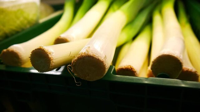 Close-up of many ripe leeks in a market basket