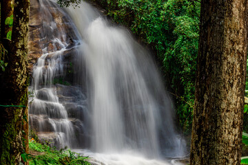 Fototapeta premium The natural background of a waterfall flowing from a height through rocks and various trees. The richness of the ecosystem and pure oxygen for breathing.