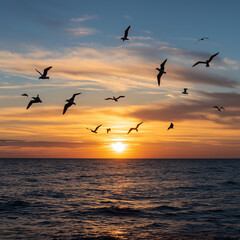 A flock of seagulls gliding over the ocean with a colorful sunset in the background, creating a peaceful seascape scene.