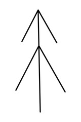 Spruce tree. Doodle black and white clipart illustration.