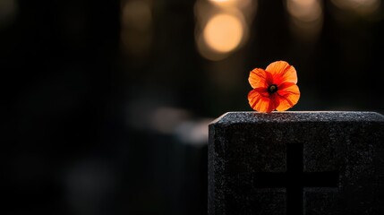 Honoring soldiers a closeup of a poppy flower on a grave marker with shadows of remembrance
