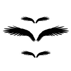 Vector monochrome set of different wings for design black