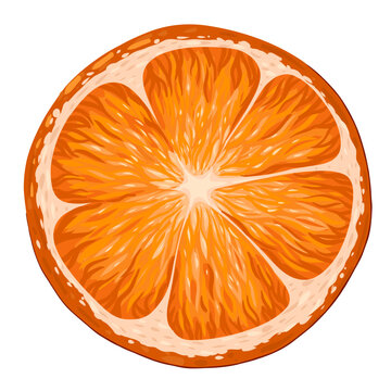 recommend clip art: Orange circle clip art. Organic fruit for juice or vitamin C healthy food. Vector illustration isolated on white background.