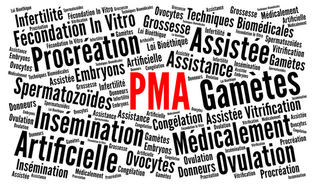 PMA nuage de mots	