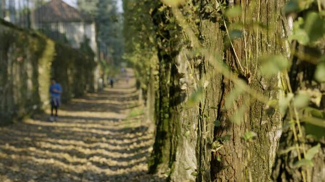 Autumn Path in Brianza, Italy - 4K - Trees, Leaves, Nature, Outdoors, People Walking, Sunny Day, Travel, Tourism,  Relaxation, Peace, Serenity