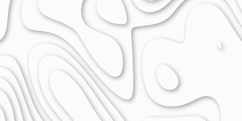 Abstract luxury white modern 3d papercut background. Minimal abstract vector wave carve diamond topography line circle creative topography map circle and wave line smooth multilayer pattern. papercut.