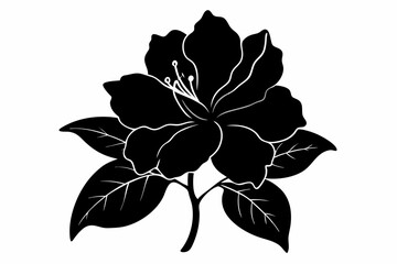 Azalea flower silhouette, Azalea vectot, Azalea silhouette black clipart	