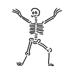 human skull and bones