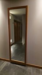 Modern Hallway Reflected in a Large Wooden-Framed Mirror