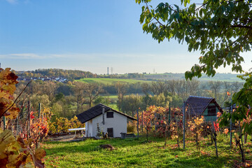 A Scenic and Picturesque Vineyard Landscape Featuring Quaint Houses Amidst Rolling Hills