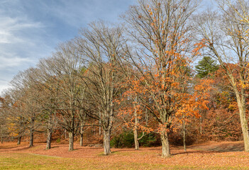 Naklejka premium autumn at the wauchusett reservoir