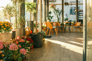 Bright and airy indoor space filled with flowers, plants, and cozy wooden furniture. Natural light streams in through large windows, creating a peaceful and inviting atmosphere