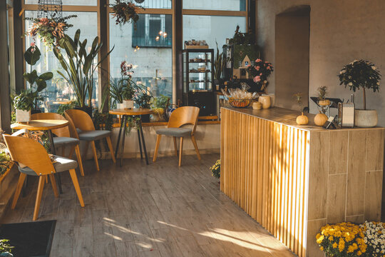 Cozy interior of a modern cafe with wooden furniture, decorative plants, and natural light. The counter is adorned with small pumpkins and flowers, creating a warm and inviting atmosphere
