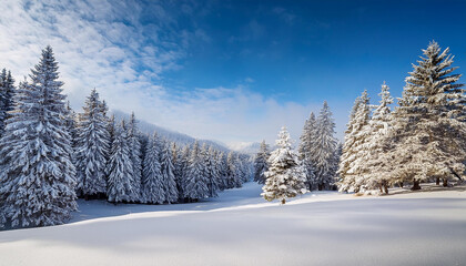 Obraz premium winter landscape with trees