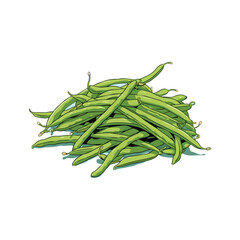 green beans isolated on white