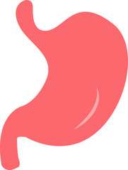 Vector Illustration of a Human Stomach