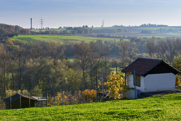 A Scenic and Picturesque Vineyard Landscape Featuring Quaint Houses Amidst Rolling Hills