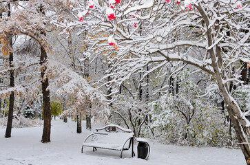 First snowfall in city park - late autumn or early winter landscape. Golden fluffy needles of larch, rowan tree with red berries, bushes and bench on alley with white snow covered - fairy tale 