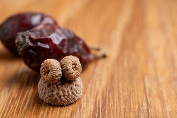 Acorns and Dried Rosehip on Wooden Surface
