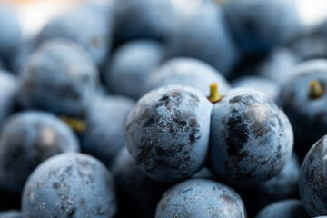 Close-Up of Fresh Blue Plums

