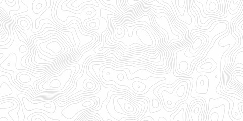 Lines Topographic contour lines map seamless pattern. Vector abstract wave curve topo grid map with Geographic mountain relief. Abstract lines background. Contour maps. Topo contour map design.