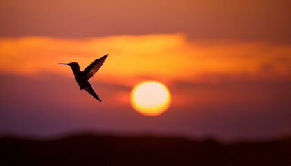 Silhouette of a hummingbird at sunset, the sun low on the horizon and the sky awash with war