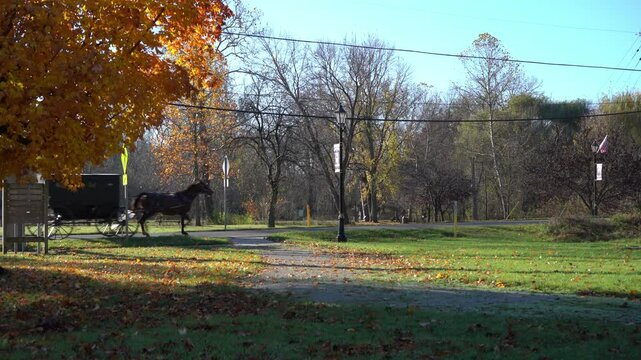 An Amish horse and carriage passing by