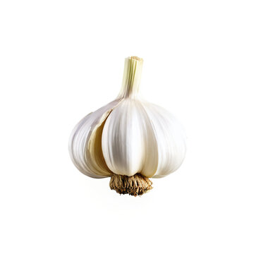garlic clove isolated on transparent background