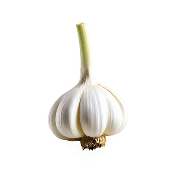 garlic clove isolated on transparent background