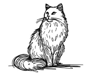 cat monoline vector, oneline line art style