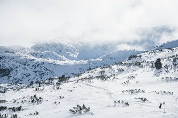 Fototapeta premium winter landscape with snow and trees in mountains