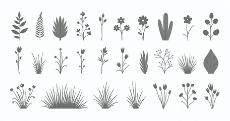 A diverse plant collection includes silhouettes of fern cactus algae and various grasses trees flowers and other organisms