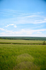 field and blue sky