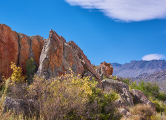 Landscape, field and fynbos by mountains, nature and sunshine with clouds, sky and conservation. Indigenous plants, flora and wild shrub with growth, stone and rock outcrop with bush in South Africa