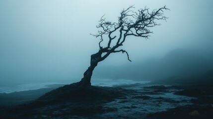 A lone, bare tree stands silhouetted against a misty, blue sky.