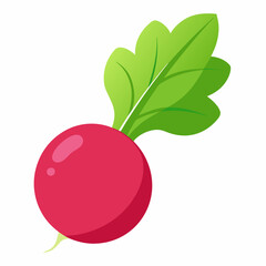 red radish isolated on white background