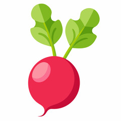 radish with leaf