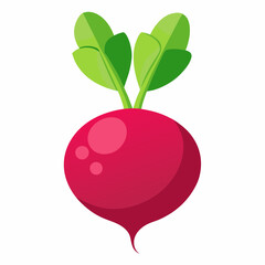 illustration of radish