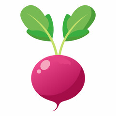 illustration of a radish