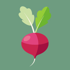 radish on a green background