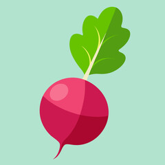 illustration of a radish