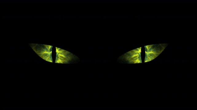 Yellow mysterious halloween gaze.