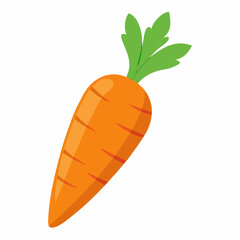 carrot isolated on white background